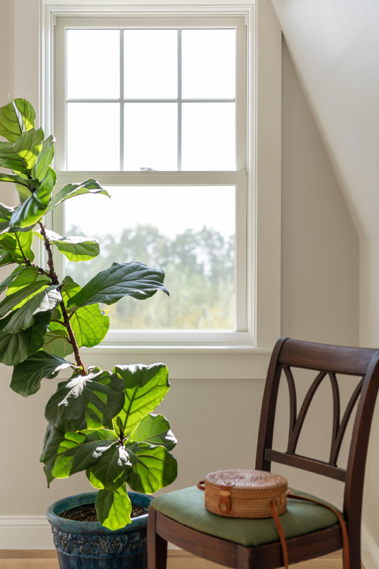 小物 Marvin MARVIN Elevate Windows Double Hung CN30 29.5 wide Fiberglass