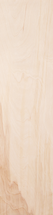 JELDWEN Flush 6'8 X 1-3/8 Or 1-3/4 Birch Interior Door