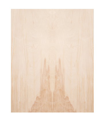 JELDWEN Twin/Double Flush 6'8 X 1-3/8 Or 1-3/4 Birch Interior Prehung Door